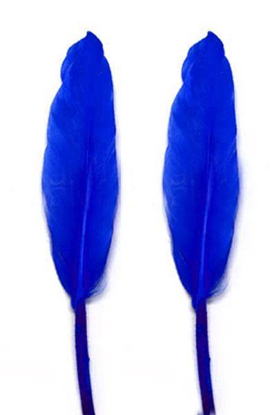 Duck Cochottes Dyed Royal Blue 3-4" - Per lb