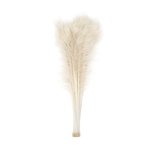 Dyed Ivory Peacock Feathers 35"-40" (Pack of 100)
