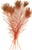 Dyed Orange Peacock Feathers 35"-40" (Pack of 100)