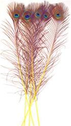 Dyed Yellow Peacock Feathers 35"-40" (Pack of 100)