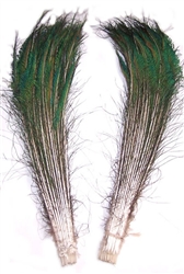 Peacock Swords 35"-40" (Pack of 100)