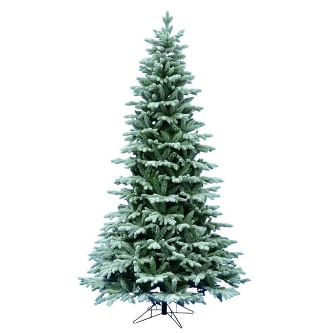 4.5' x 34" Frosted Balsam Fir 358T