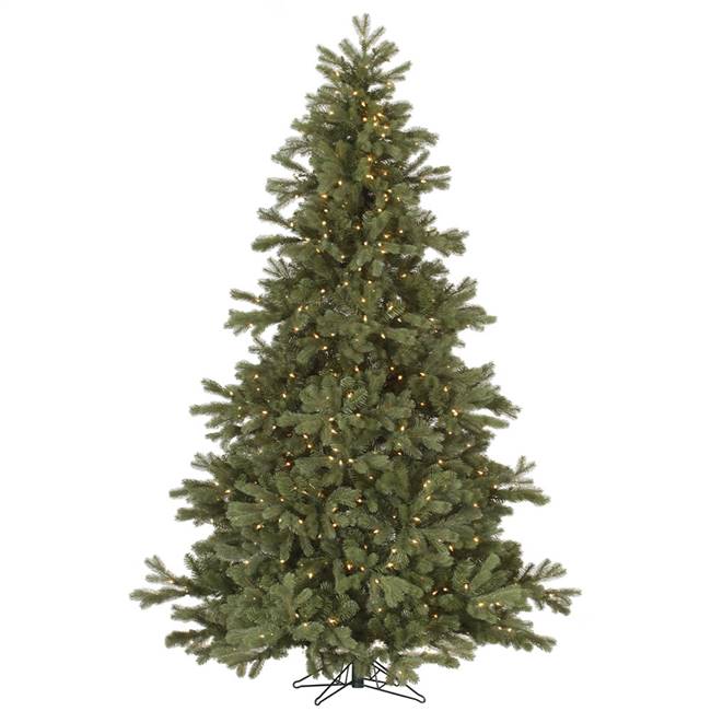 10' x 81" Frasier Fir 1500 Dura-Lit CL