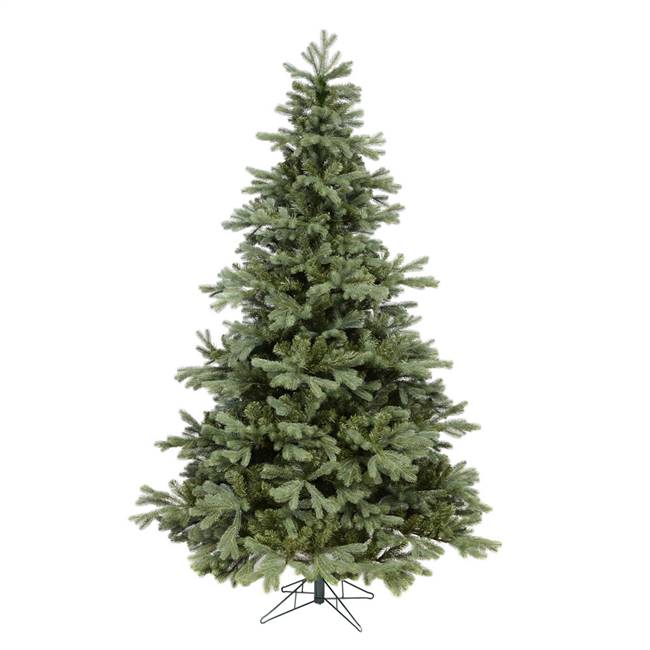 14' x 107" Frasier Fir 8128 Tips