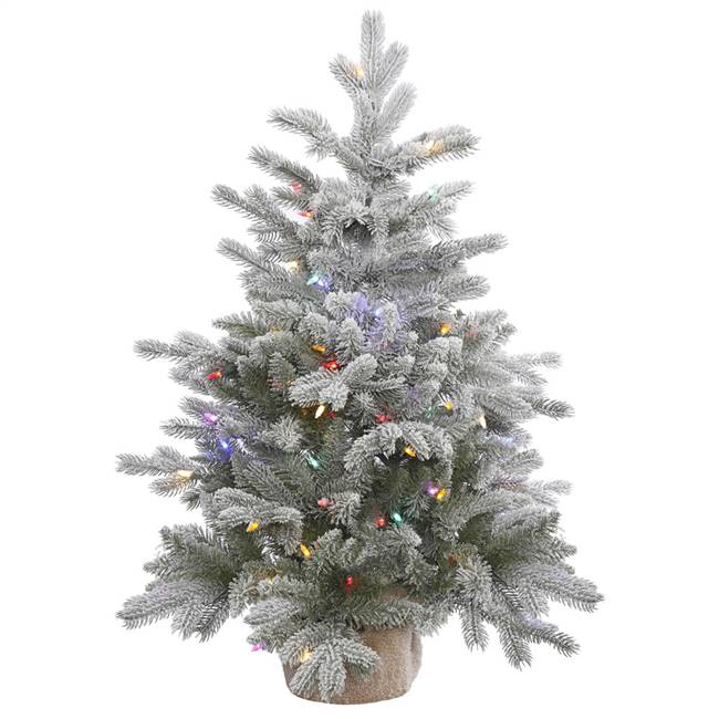 36" x 28" Frosted Sable Tree 100LED MU