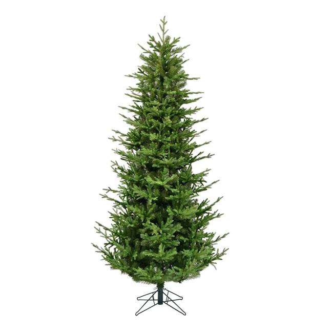 10' x 60" Hoboken Frasier Fir 2341Tips