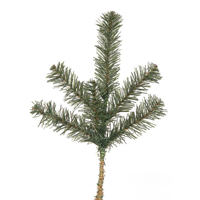 14" Canadian Pine Spray 6 Tips