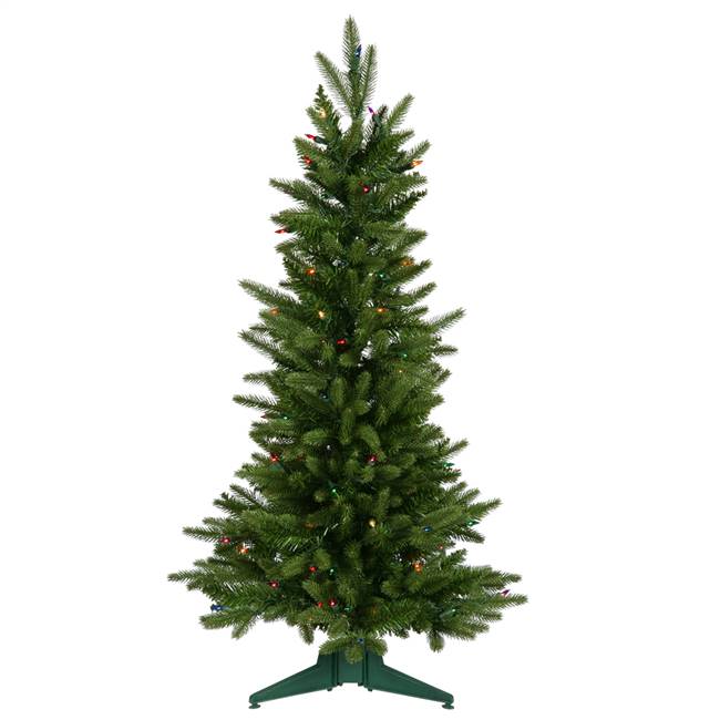 36" x 22" Frasier Fir Dura-Lit 100MU 218