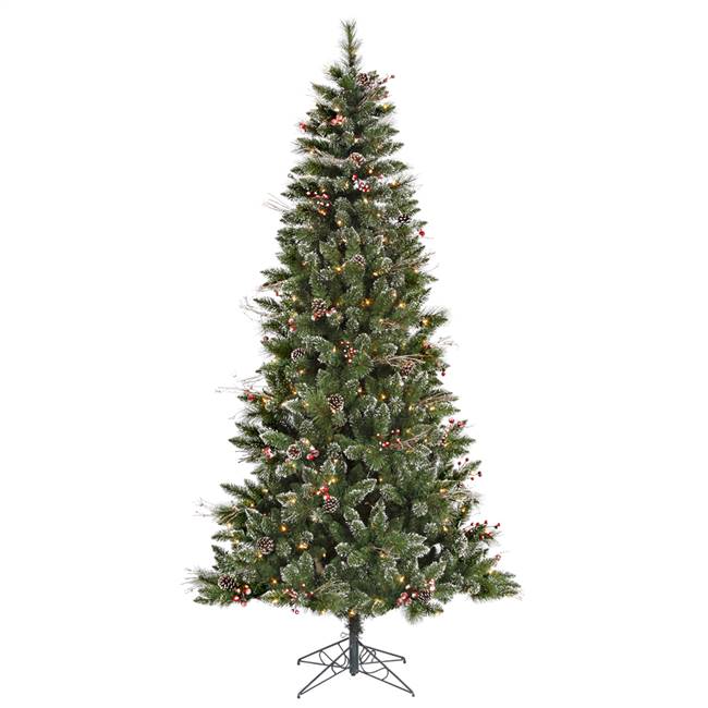 4.5'x28" SnowTip Berry Tree Dural 150CL