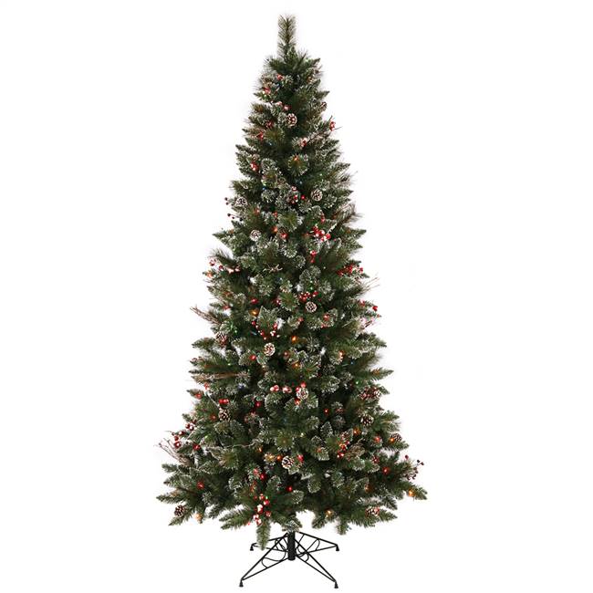 6' x 36" SnowTip Berry Tree Dural 250MU