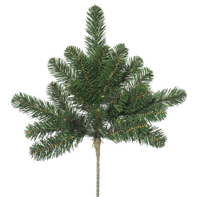 18" Oregon Fir Spray x 7Tips