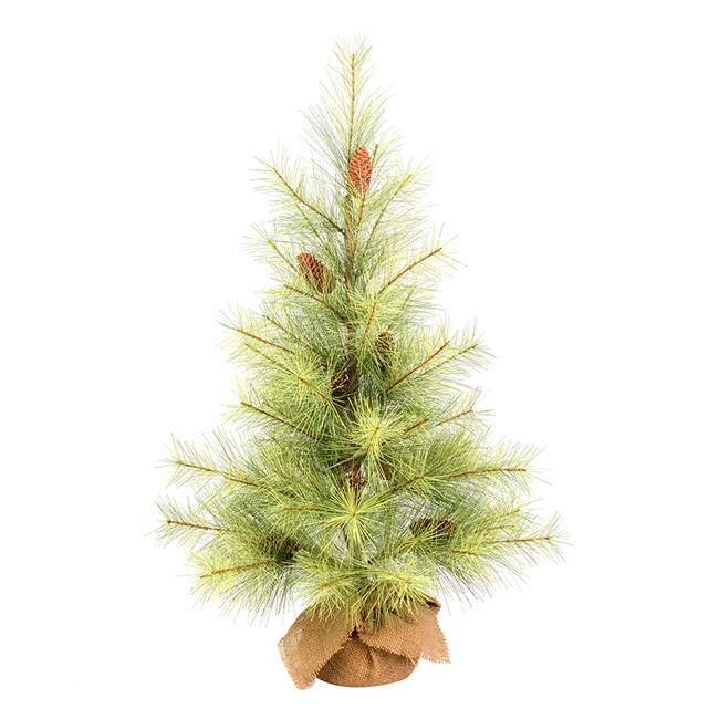 36" Hugo Pine Tree w/Burlap Base