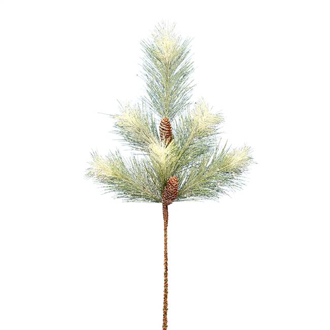 30" Norfolk Frosted Pine Spray 2/Pk