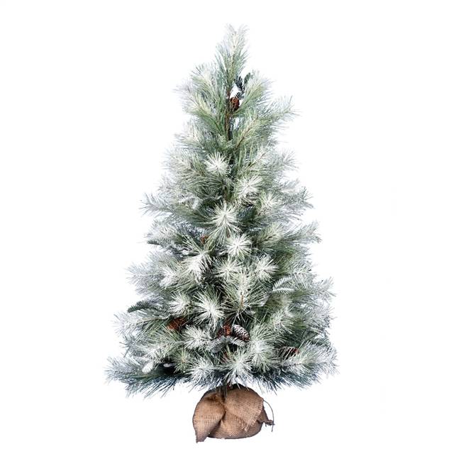 48" Frosted Ansell Pine Tree 113Tips