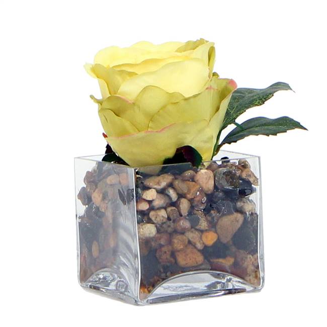 6" Yellow Rose /Glass Square