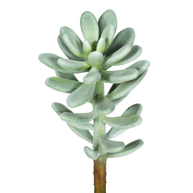 12" Succulent Plant-Frosted Green 3/Bag