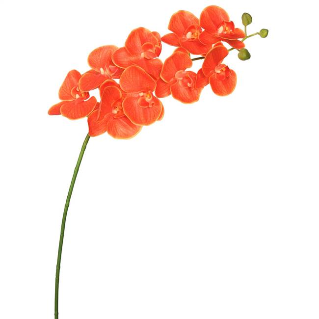 43" Orange RealTouch Phalaenopsis Orchid