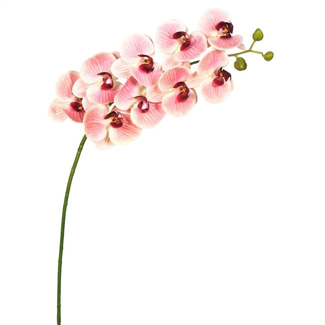 43" Pink Real Touch Phalaenopsis Orchid
