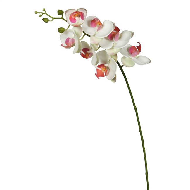 35" White Real Touch Phalaenopsis Orchid