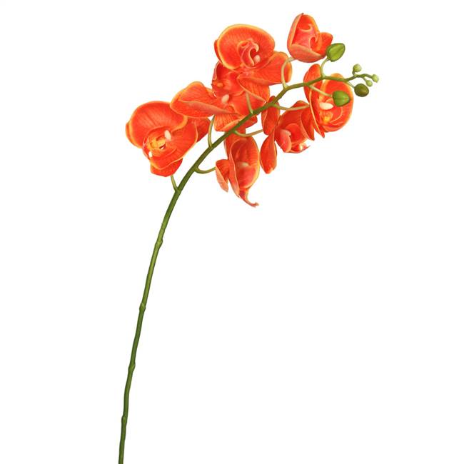 35" Orange RealTouch Phalaenopsis Orchid