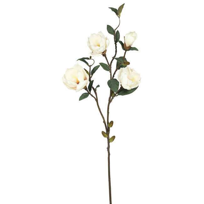 38" Magnolia x 4-Cream (Pk/3)