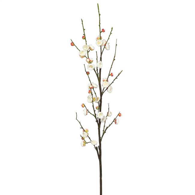 47" Plum Blossom-Cream