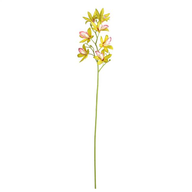 32" Green Orchid Stem 6/Pk