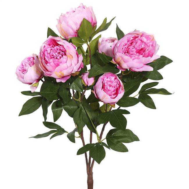 23'' Peony Bush X 6 Flwrs 3 Buds-Cerise