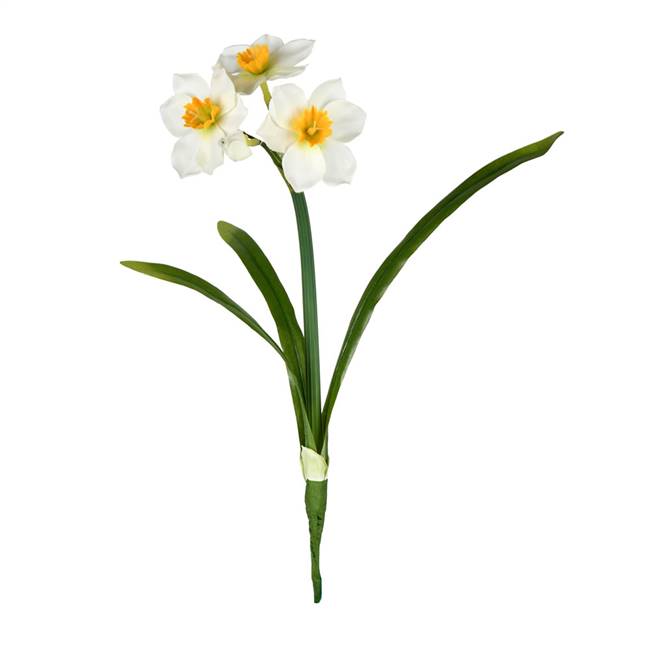 13" Cream Narcissus Spray  (Pk/3)