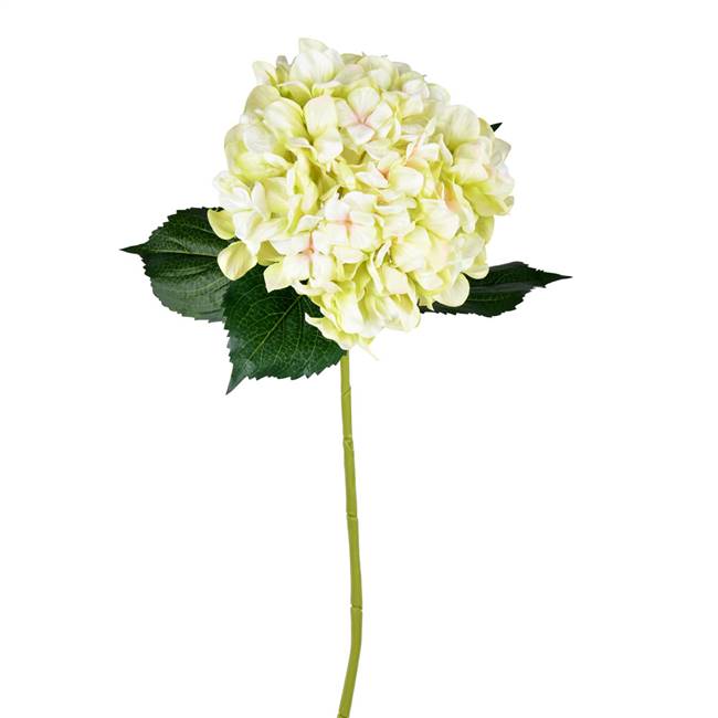 33" Light Green Hydrangea Spray (2/pk)