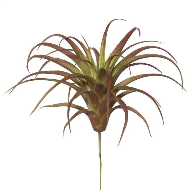 6.5" Tillandsia Pick (PK/3)