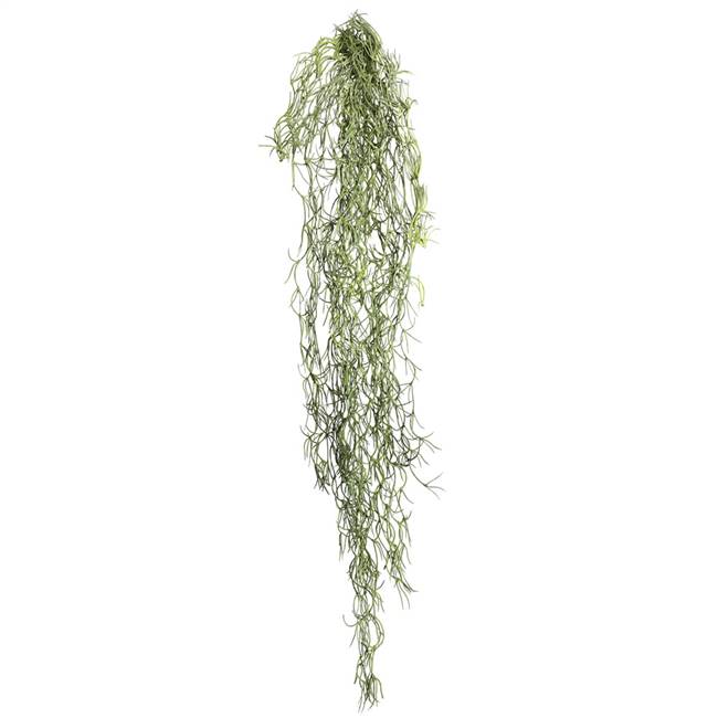 29.5" Tillandsia Root