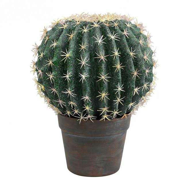 9.5" Green Cactus Ball in Gray/Red Pot