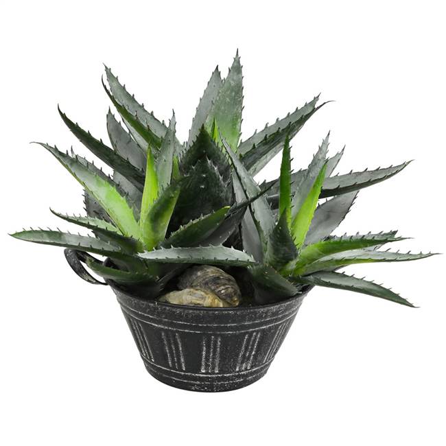 10" Green Succulent in Galvanized Pot