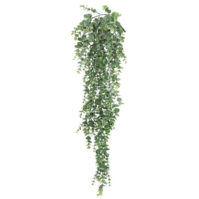 32" Hanging Mini Eucalyptus Bush Pk/2 (OUT OF STOCK UNTIL MID-LATE AUGUST, YOUR ORDER WILL SHIP WHEN IT BECOMES AVAILABLE)