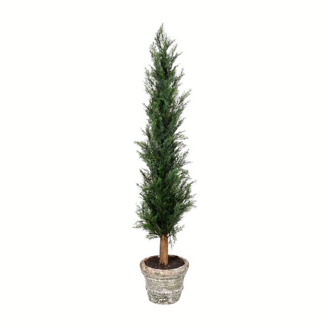 48" Potted Cedar Tree