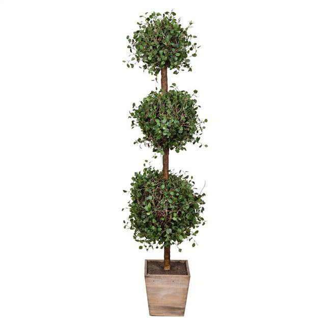 48" Potted Angel Vine Triple Ball