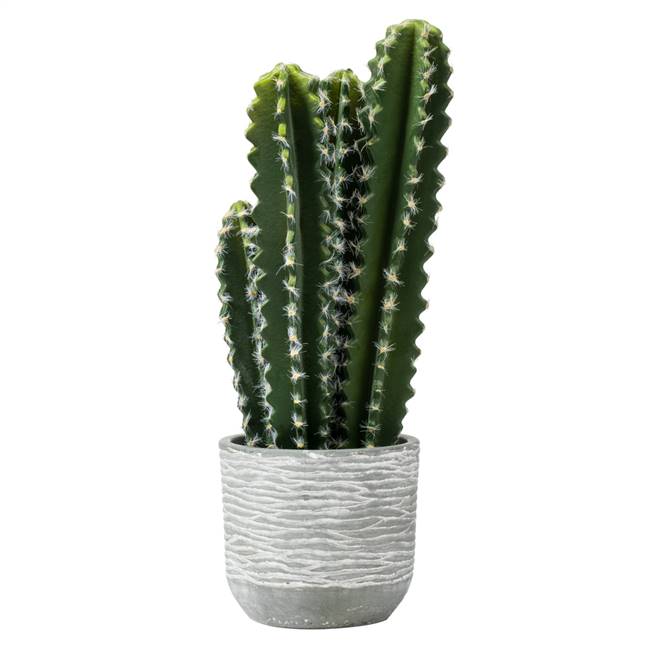 17" Green Cactus in Concrete Pot