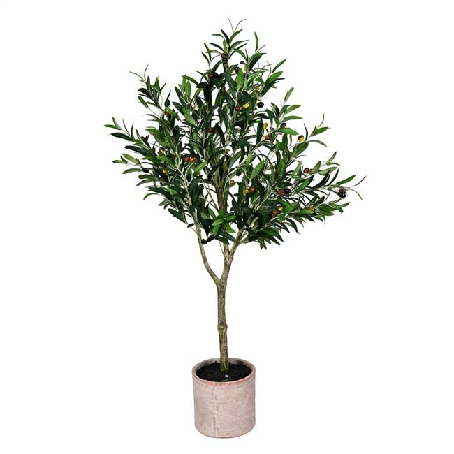 4' Green Potted Olive Tree