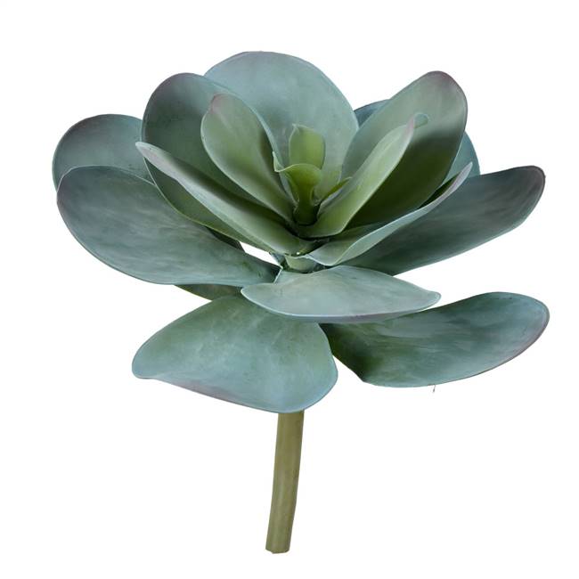 12" Blue Succulent Stem