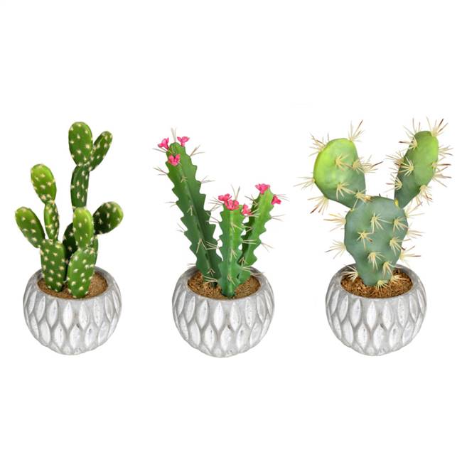 10" Green Potted Cactus (Set/3 Asst)