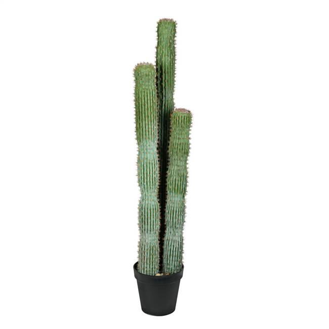 54" Green Potted Cactus