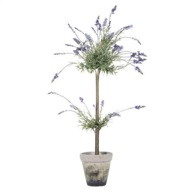 44" Lavender In Cement Pot