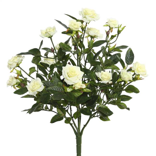 15" White Mini Diamond Rose Bush