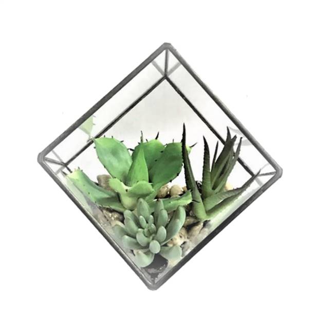 5.5" Green Succulents Diamond Terrarium