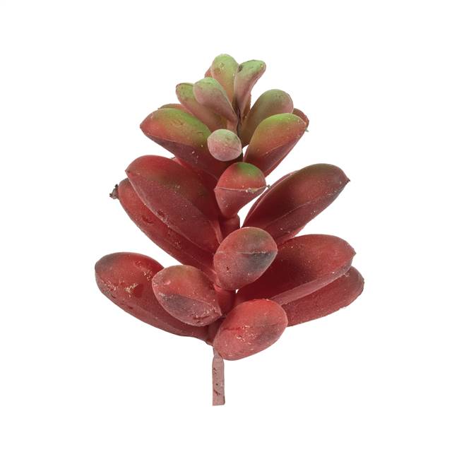 4" Red/Green Succulent Pick Asst 6/Pk