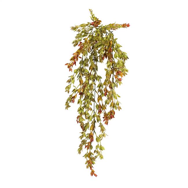 34" Green/Red Shell Leaf Hanging Bush