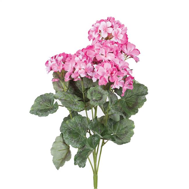 19.5" Geranium Bush-Coral