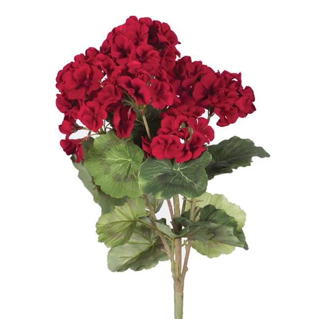 18" Geranium Bush-Red