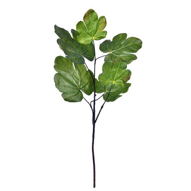 26" Green Fig Leaf Spray Pk/3